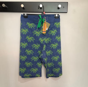 Boardies Leafy Seadragons